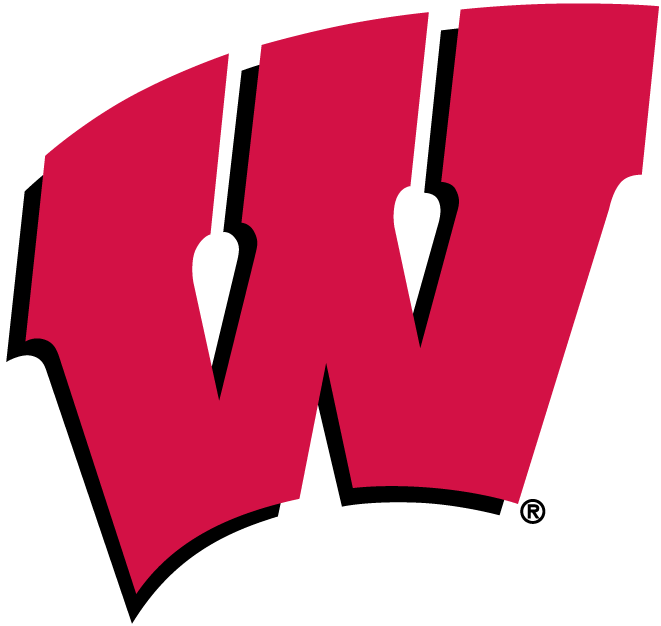 Wisconsin Badgers 1991-Pres Primary Logo iron on transfers for T-shirts